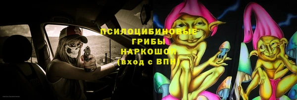 МДПВ Абаза