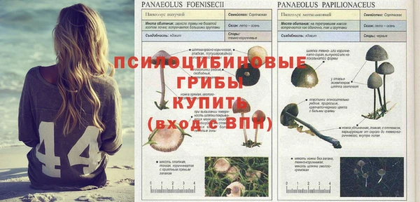 герыч Абинск