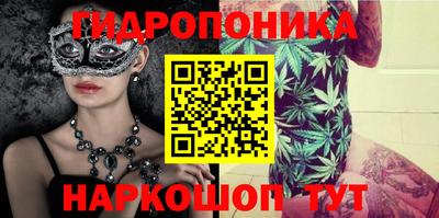 дмт Пенза