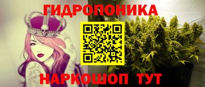 дмт Пенза