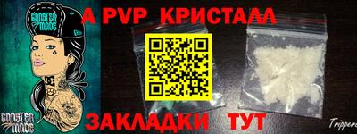 дмт Пенза