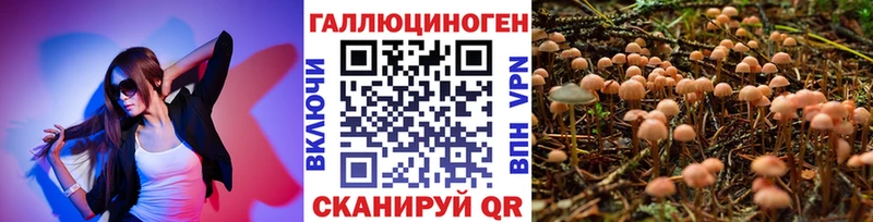 Псилоцибиновые грибы MAGIC MUSHROOMS Усолье-Сибирское