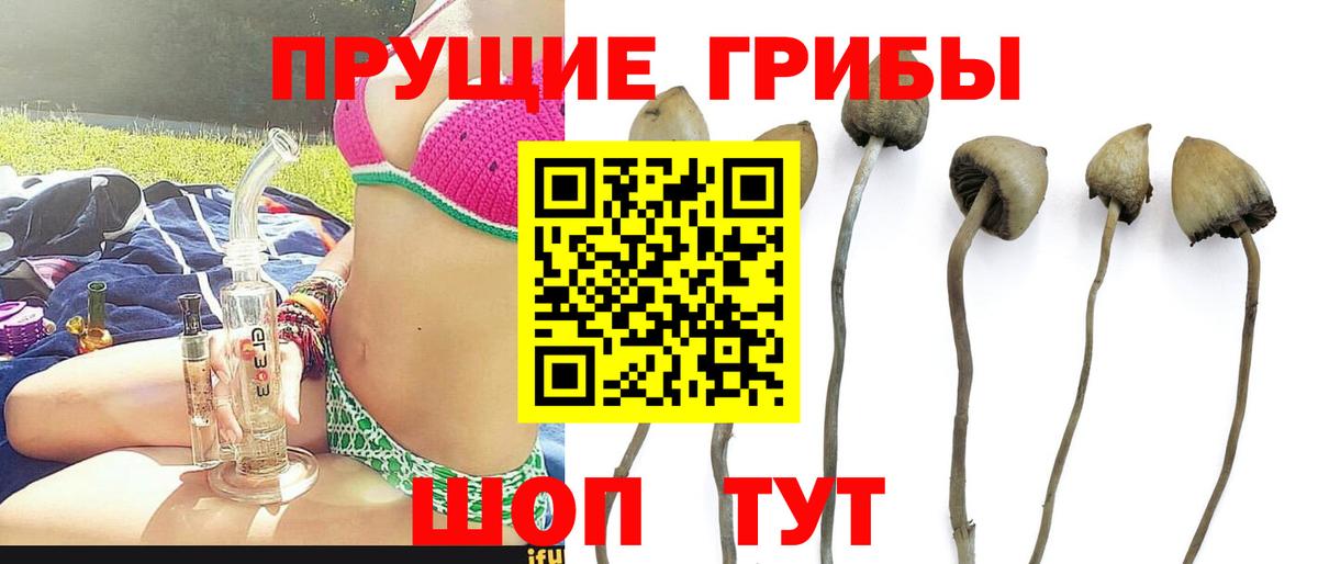 Усолье-Сибирское  сколько стоит  Вход с VPN  Галлюциногенные грибы мицелий 