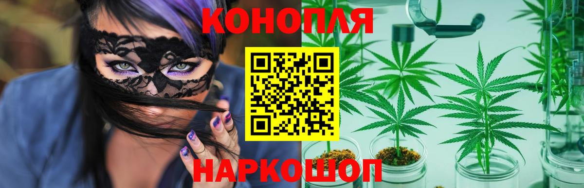Конопля ГИДРОПОН  Вход с VPN  Каннабис THC 21%  Усолье-Сибирское 